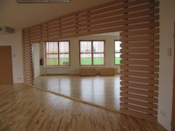 Satalice-otevreni/aerobic.JPG